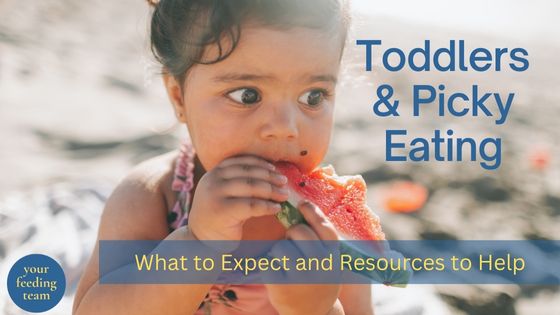 Toddlers and Picky Eating: What to Expect and Resources to Help